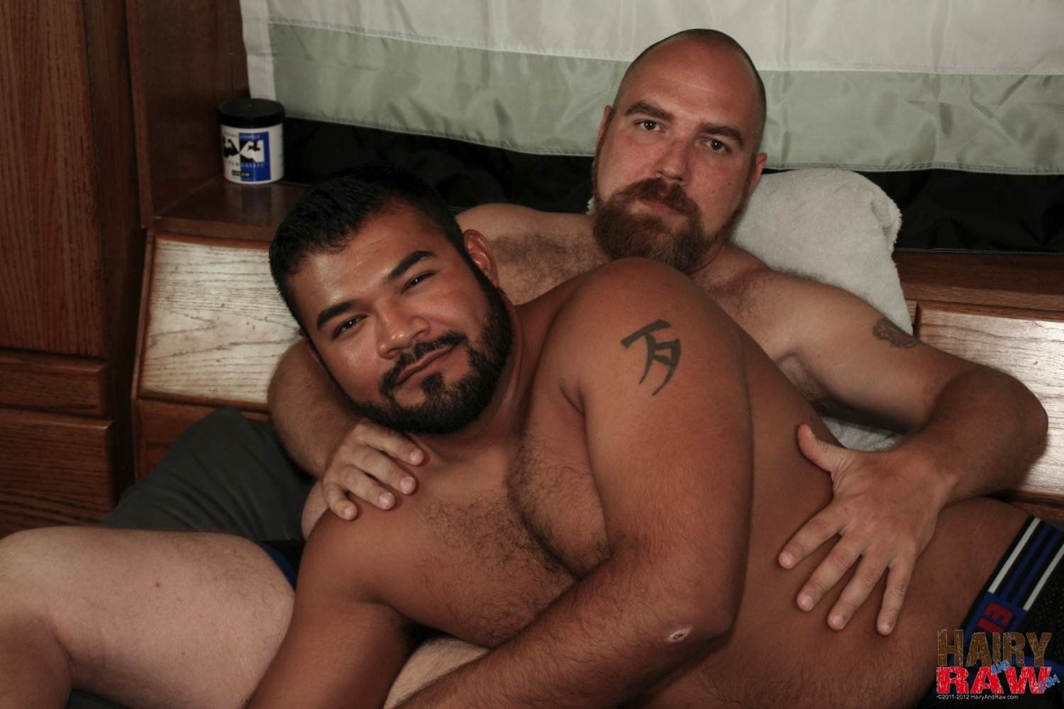 All male bear porn picss