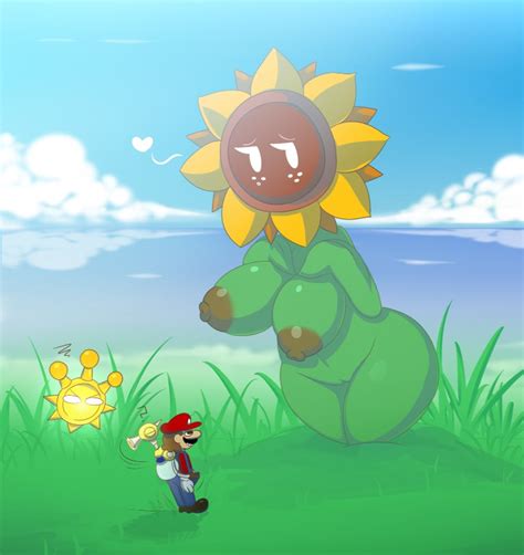 best of Mario sunshine super