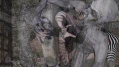 Bandicoot reccomend zombie fucks witch cemetery