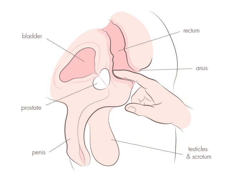 best of Cumshots prostate swallow multiple plug