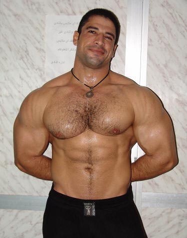 Daffodil reccomend serving hairy arab mans muscle