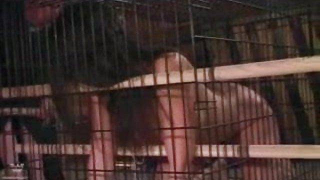 best of Blowjob caged
