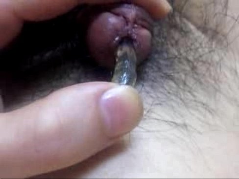 Red S. reccomend foreskin and peehole play with