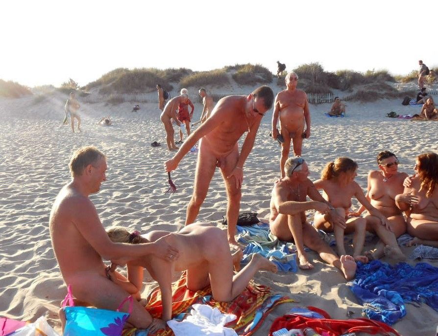 Wasp reccomend public orgy beach