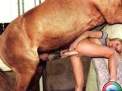 Xxx mit pferd porn